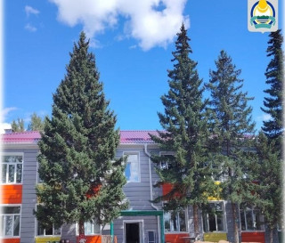 Муниципальное бюджетное дошкольное образовательное учреждение Петропавловский детский сад № 3 "Колосок"
